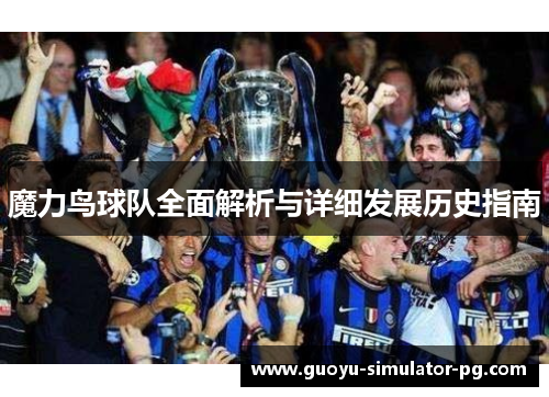 魔力鸟球队全面解析与详细发展历史指南