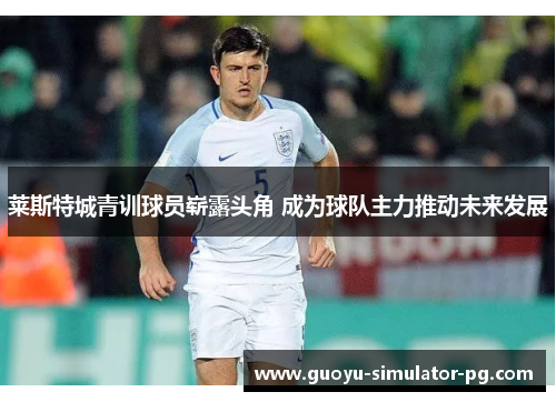 莱斯特城青训球员崭露头角 成为球队主力推动未来发展 莱斯特城青训球员崭露头角 成为球队主力推动未来发展