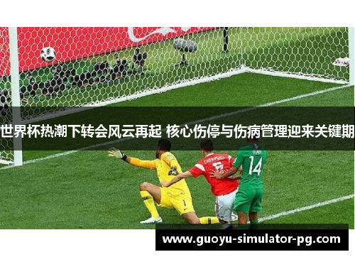 世界杯热潮下转会风云再起 核心伤停与伤病管理迎来关键期